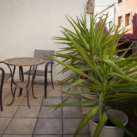 Casa Tea